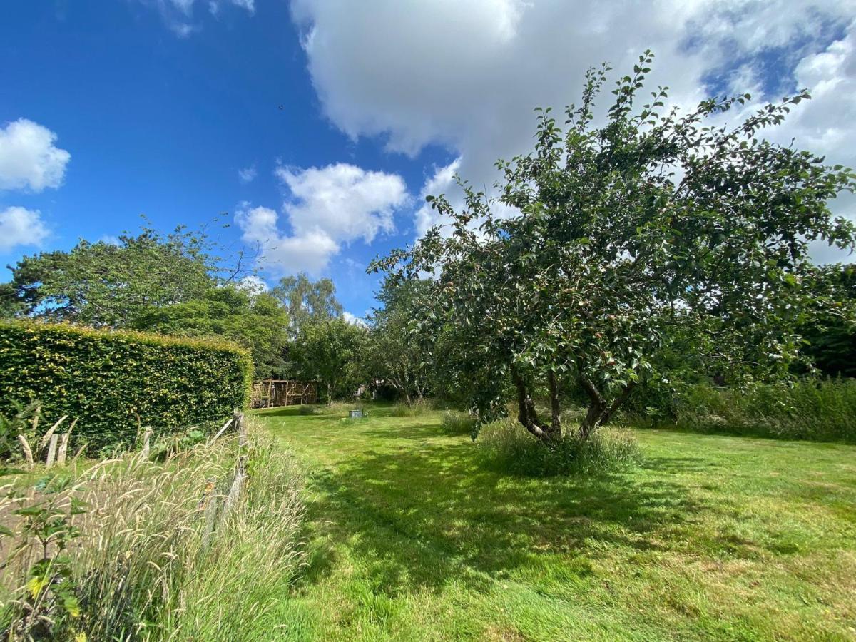 Vane Cottage - Lewes Exteriör bild