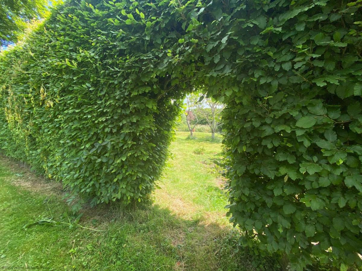 Vane Cottage - Lewes Exteriör bild